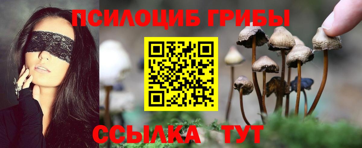 Псилоцибиновые грибы MAGIC MUSHROOMS Канаш